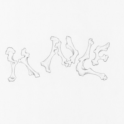 AR TICULATIONS